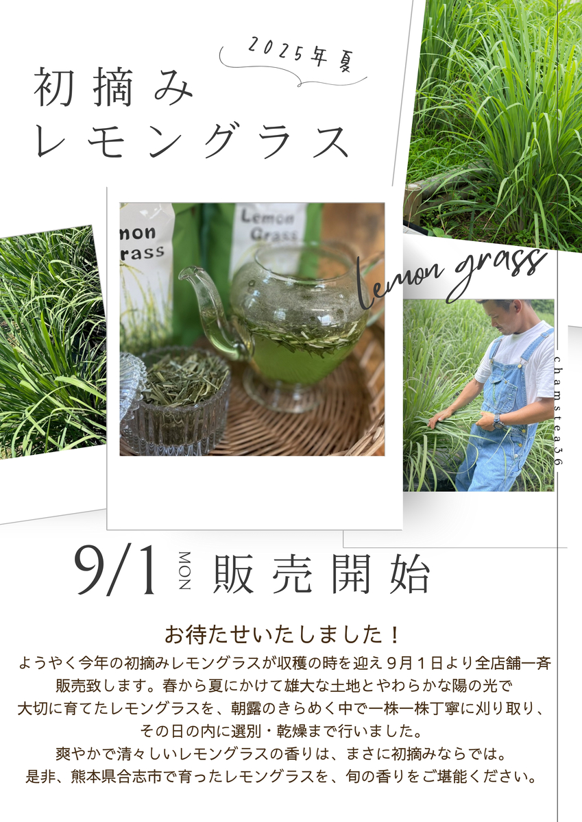熊本県産レモングラス(2g×10包) | chamstea36